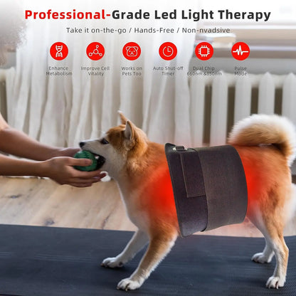 Red Infrared Therapy Pad